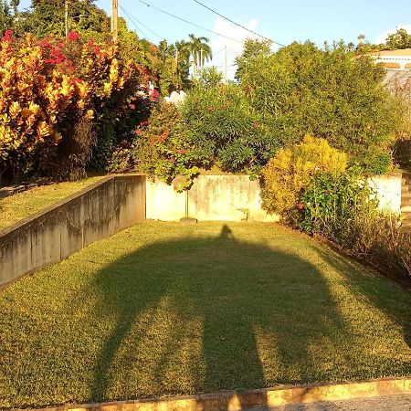 Charmant Appartement Verdoyant Le Morne-Vert ภายนอก รูปภาพ