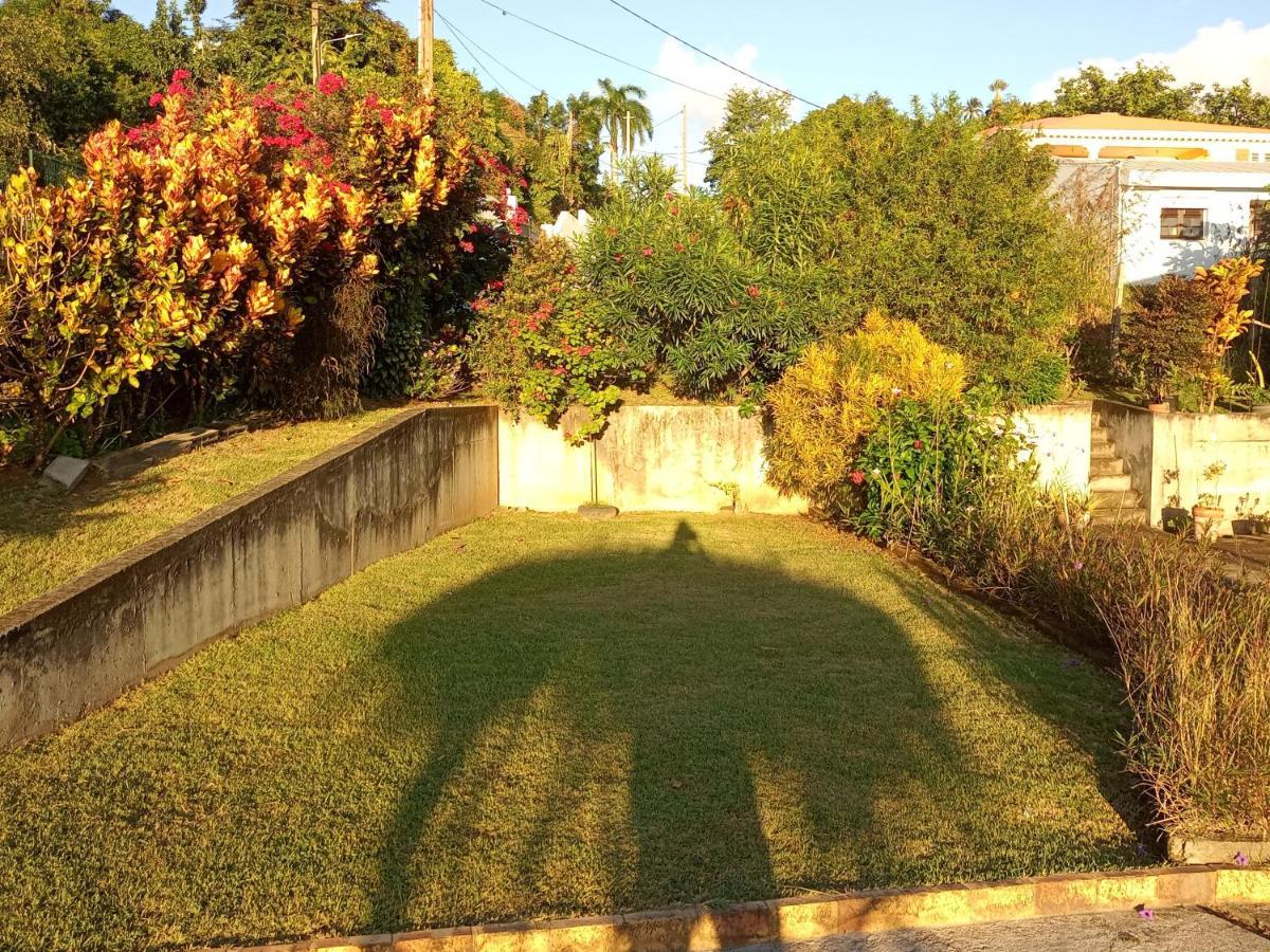 Charmant Appartement Verdoyant Le Morne-Vert ภายนอก รูปภาพ